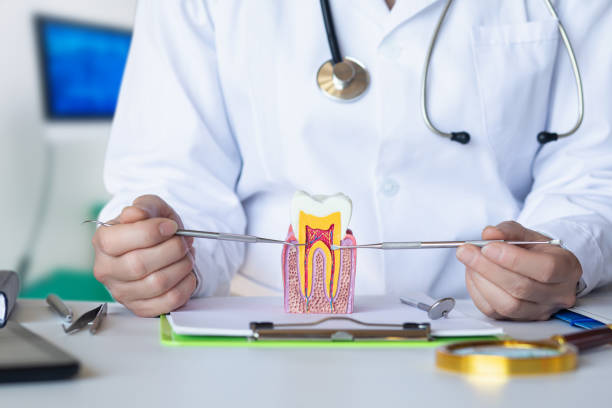 Best Emergency Care for Gum Disease in Rochester, NH